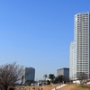 春の日と庶民フレンチ