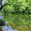 引津湖