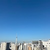 久しぶりの梅雨の晴れ間🌞