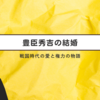 豊臣秀吉の結婚：戦国時代の愛と権力の物語