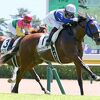７日に帰厩。次走に予定している２５日の中京・野路菊Ｓでは岩田望Ｊとのコンビに戻ります。☆ロードリライアブル