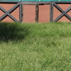 憎しみへの憎しみ？／喜怒哀楽・12