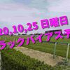 2020,10,25 日曜日 トラックバイアス予想 (東京競馬場、京都競馬場、新潟競馬場)