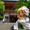 お散歩気分で、うっかり登山。