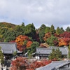 柳谷観音　楊谷寺