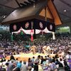 大相撲七月場所 中日 三段目取組結果