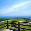 【伊豆】絶景スポットの細野高原、三筋山をハイキング！