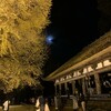 夜のお寺