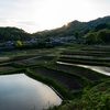 棚田夕景
