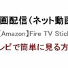 動画配信サービスをテレビ（大画面）視聴