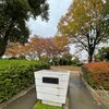 公園をそっと濡らすや初しぐれ