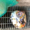 秋のゴミ拾いで幸運を拾おう・ちょっとした夢