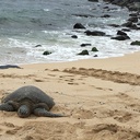 ちぎの旅行・グルメブログ