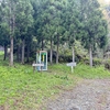 丈競山に登りました