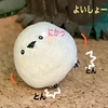 １１２　おすもう②