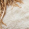 これからは小麦ではなく米を食え！？