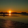 ふなばし三番瀬海浜公園で初日の出見てきました