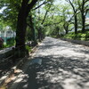 いつか地獄になる場所で／老道・226