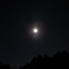 今夜の月