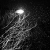 雪舞うとき