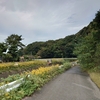 いとふしぎかな。