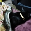 平成の農業を振り返ってみて