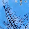 裸木の固き蕾の先に天　～俳句tweetより～