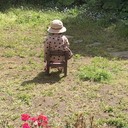 姉妹育児現在進行形〜主婦ママ徒然日記〜