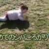 五感を感じさせる遊び、芝生の坂を転がる