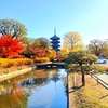 京都ぶらり　2023京都紅葉　見納め