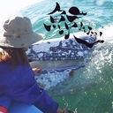 With a whale.