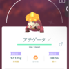 【ポケモンGO】コミュニティデイ結果報告【2025年3月ホゲータ】