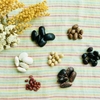 豆類は食べると痩せるのか？豆類がダイエットに効果がある本質とは？