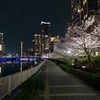 【宿泊記】197.スガタ ホテル 大阪心斎橋 シリーズ by マリオット