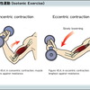 筋トレの効率化を図るための筋トレ原則の話