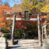 神社・寺院の御朱印　その２３　（古峯神社　日光東照宮　等）