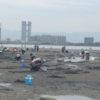 潮干狩り