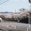 ”永遠の学園”ＰＬ学園・甲子園優勝物語③～中村ＰＬの真骨頂・戦後初のセンバツ連覇編