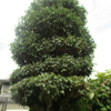 写真集＃３