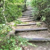 【神戸/ハイキング/重要文化財】思った以上の美しさ！布引の貯水池〜夏の山歩き