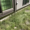 【東京都の人工芝施工事例】雑草だらけの土を緑のお庭に！エターナルターフでビフォーアフター