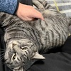 春遠からじ