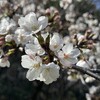 いままで、時間とお金を一番かけてきたものは、なんでしょう？