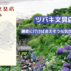 ツバキ文具店の魅力に迫る！小川糸「ツバキ文具店」を読んで感じさせること