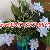 Microsoft社のオフィスソフトがなくても