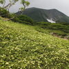 緑岳へ①（8月12日）