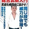 平直行 総合武術入門 武術を格闘技に活かす！ [DVD]