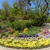 高尾から冨士森公園まで散策 2020.4.19