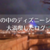 雨の日ディズニーでも大満喫した日のログ✨