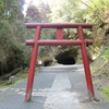 溝ノ口岩穴（溝ノ口洞穴） （鹿児島県天然記念物） 2012